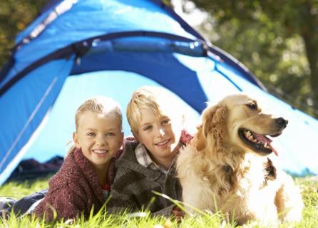 Camping De Baignes 호텔 외부 사진